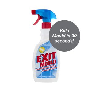 mould cleaning remover