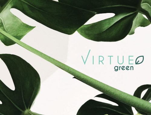 Environmentally Friendly Products in the Virtue Green range