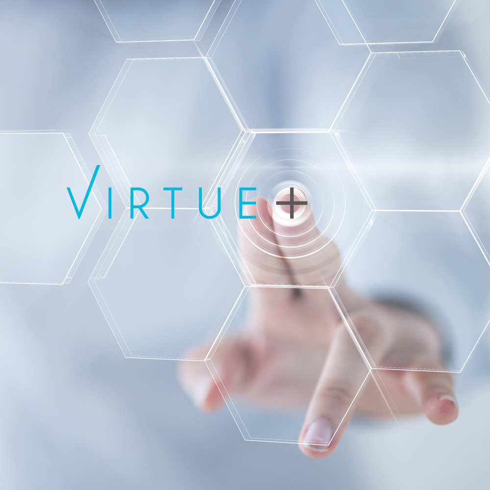 virtue plus business support